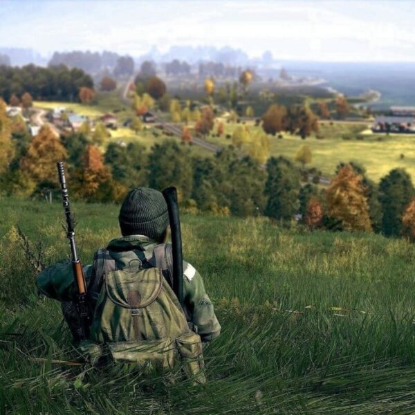 DayZ - Steam ключ