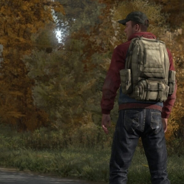 DayZ - Steam ключ