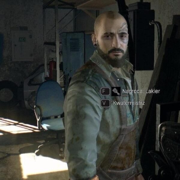 Dying Light: The Following - Steam ключ