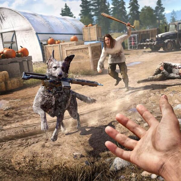Far Cry 5 Standard Edition - Steam ключ