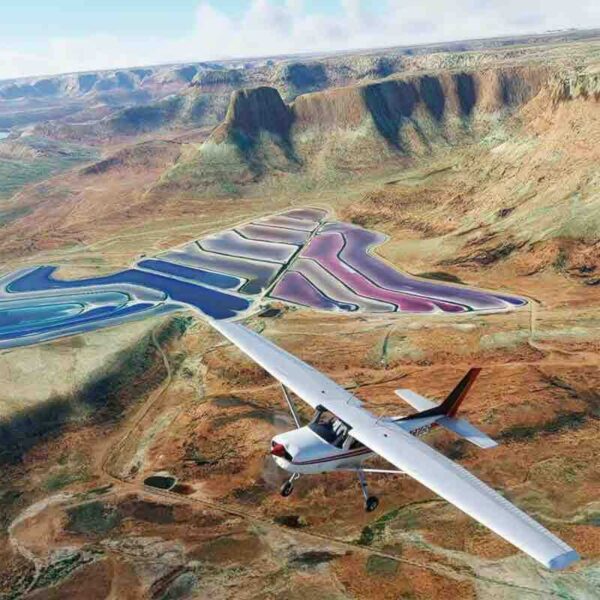 Microsoft Flight Simulator - Steam ключ