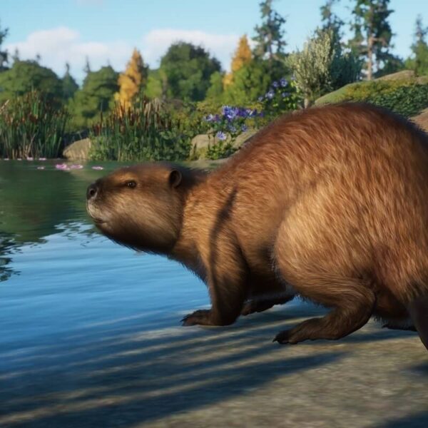 Planet Zoo - Steam ключ