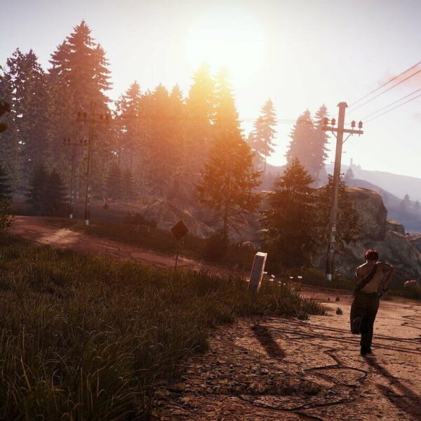 Rust - Steam ключ
