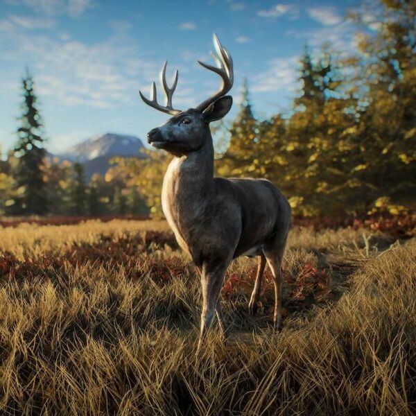 theHunter: Call of the Wild - Steam ключ