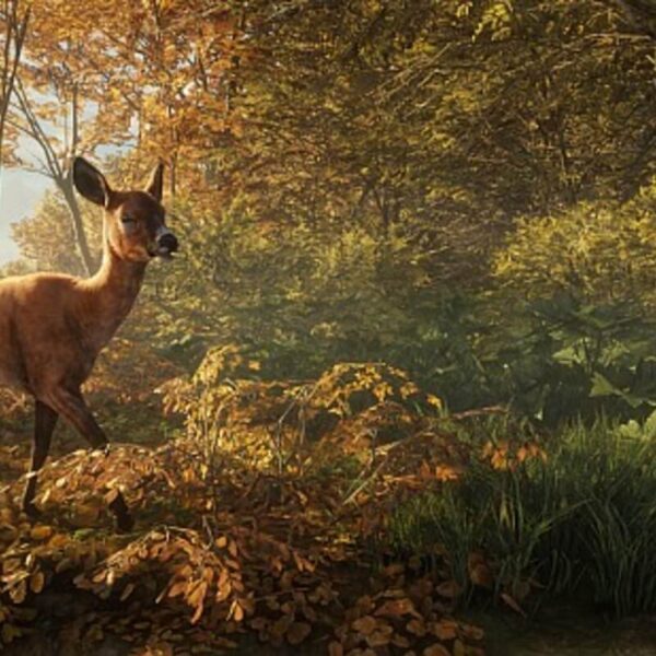 theHunter: Call of the Wild - Steam ключ