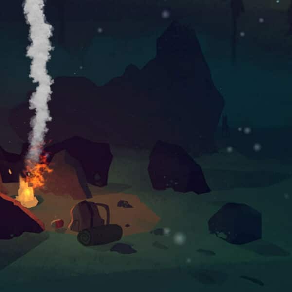 The Long Dark - Steam ключ