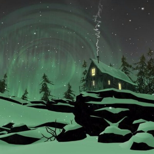 The Long Dark - Steam ключ