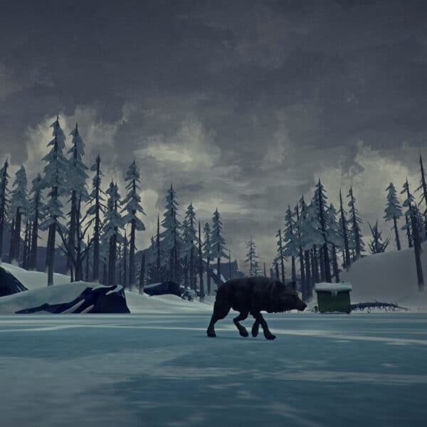 The Long Dark - Steam ключ