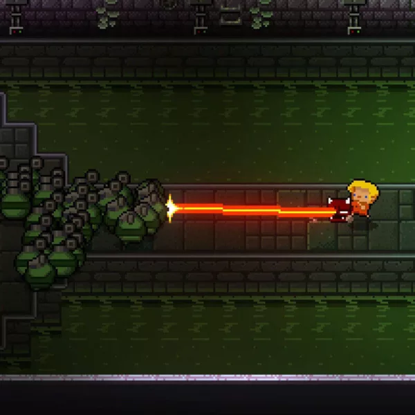 Enter the Gungeon - Steam ключ