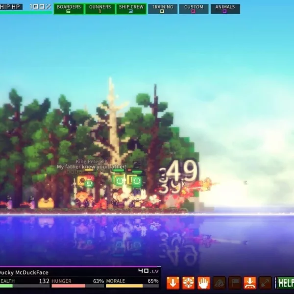 Pixel Piracy - Steam ключ