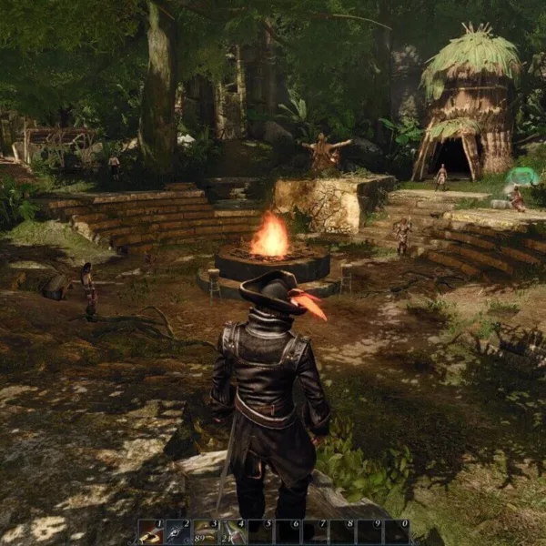 Risen 2: Dark Waters - Steam ключ