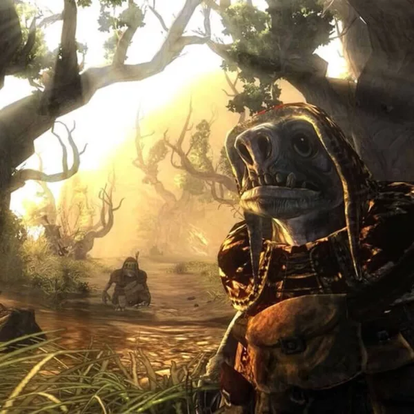 Risen 2: Dark Waters - Steam ключ