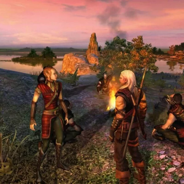 The Witcher: Enhanced Edition - Steam ключ