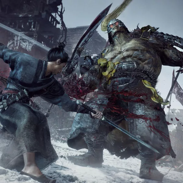 Wo Long: Fallen Dynasty - Steam ключ