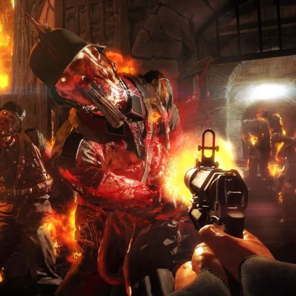 Wolfenstein: The Old Blood - Steam ключ
